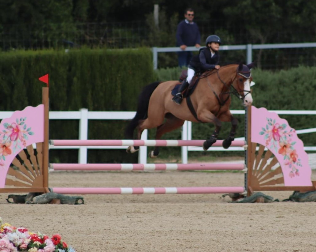 horse